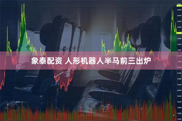 象泰配资 人形机器人半马前三出炉