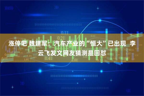 涨停吧 魏建军：汽车产业的“恒大”已出现  李云飞发文网友猜测是回怼
