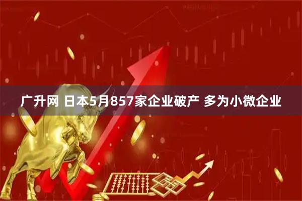广升网 日本5月857家企业破产 多为小微企业