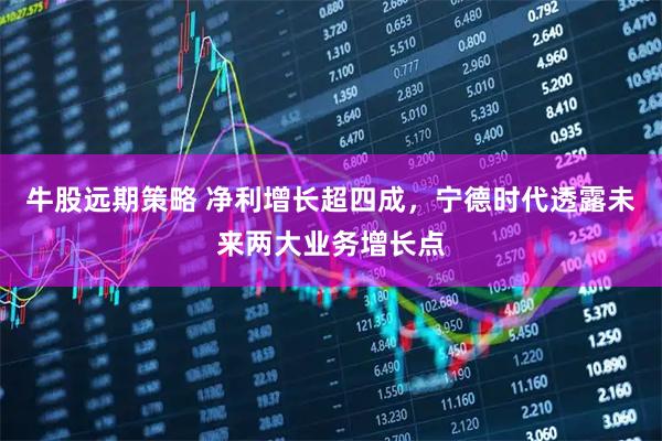 牛股远期策略 净利增长超四成，宁德时代透露未来两大业务增长点