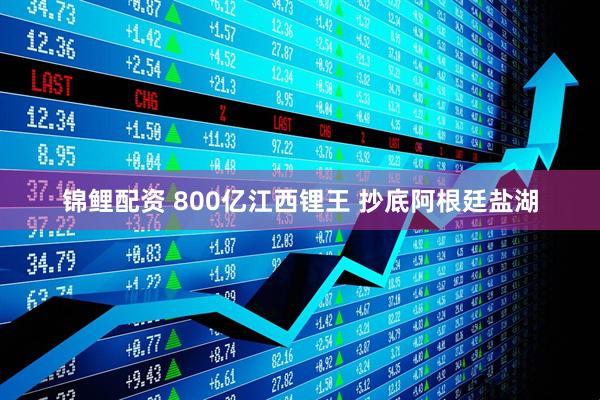 锦鲤配资 800亿江西锂王 抄底阿根廷盐湖