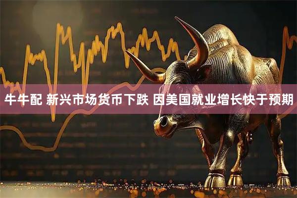 牛牛配 新兴市场货币下跌 因美国就业增长快于预期