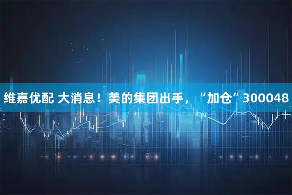 维嘉优配 大消息！美的集团出手，“加仓”300048