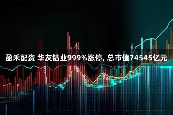 盈禾配资 华友钴业999%涨停, 总市值74545亿元